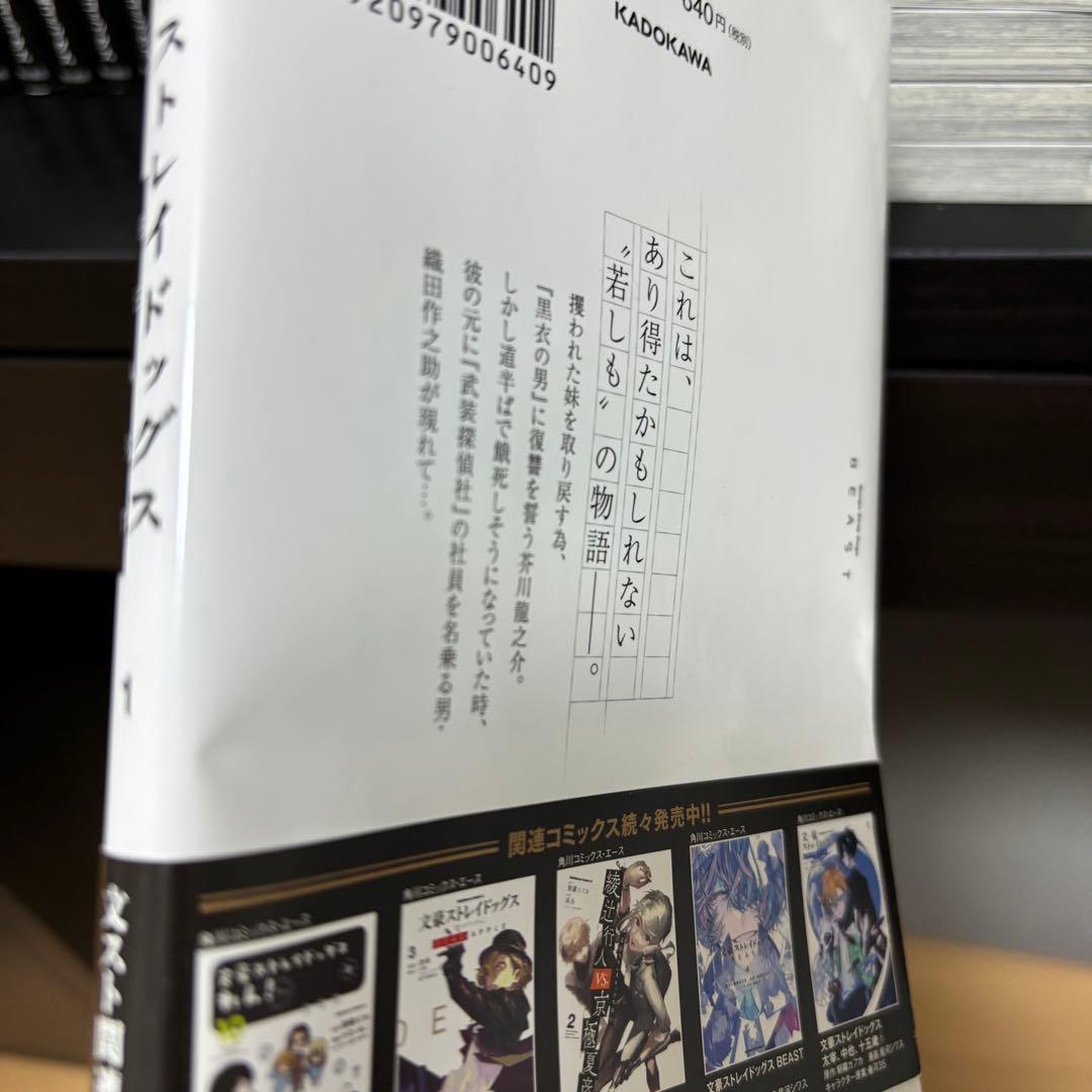 文豪ストレイドッグス　漫画