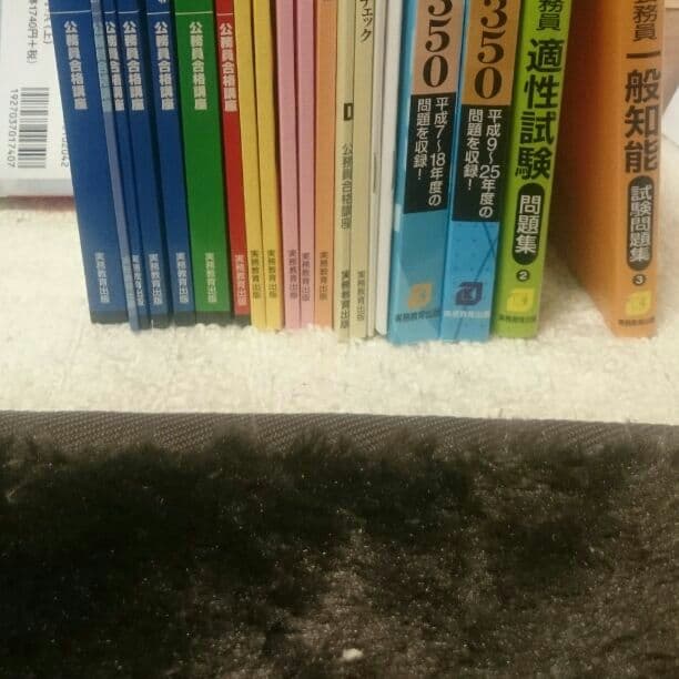 公務員試験 地方初級 高卒短大卒程度 教材  実務教育出版+ディスカバリー出版