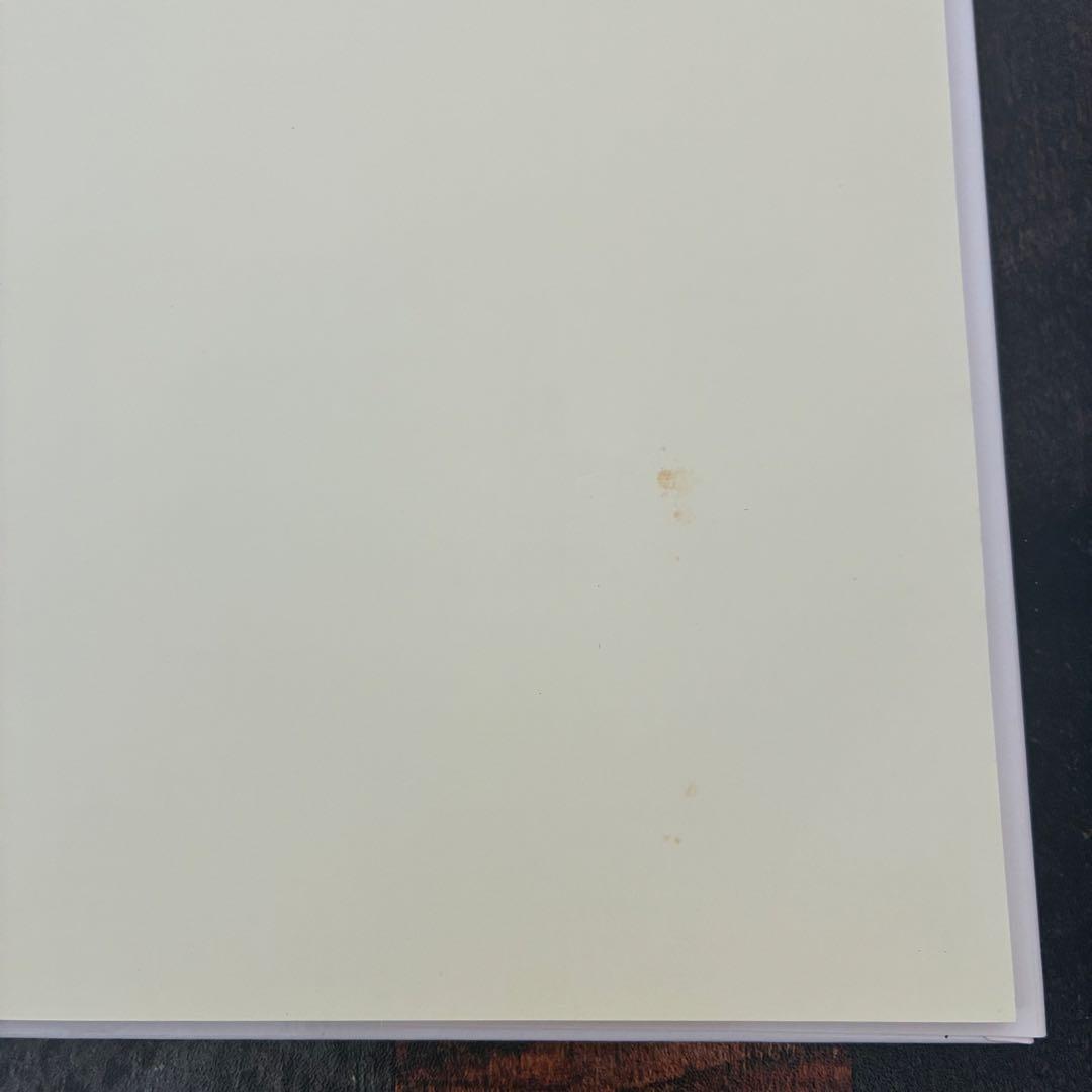 【目立った傷や汚れなし】SPRING STORY　ジル・バークレム　洋書　絵本