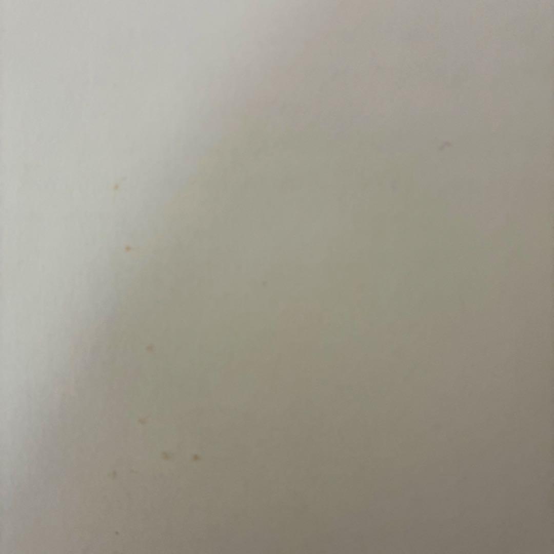 【目立った傷や汚れなし】SPRING STORY　ジル・バークレム　洋書　絵本