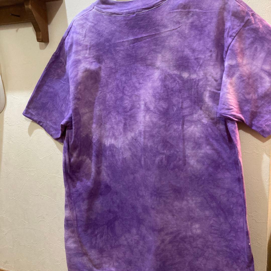 レア★AIRWALK USA製ヴィンテージ　hanes beefy 80s