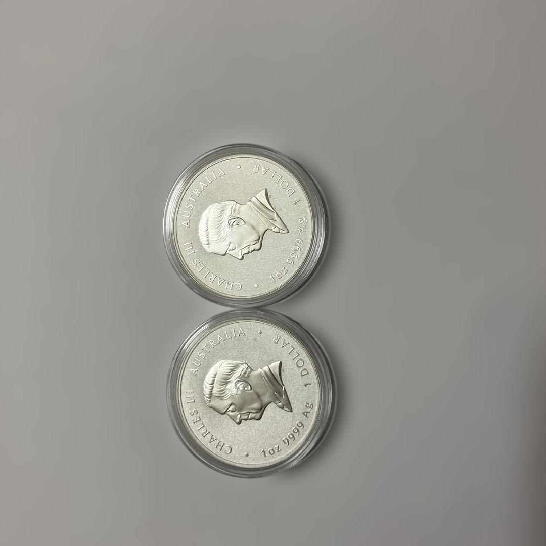 2025年蛇銀貨2枚
