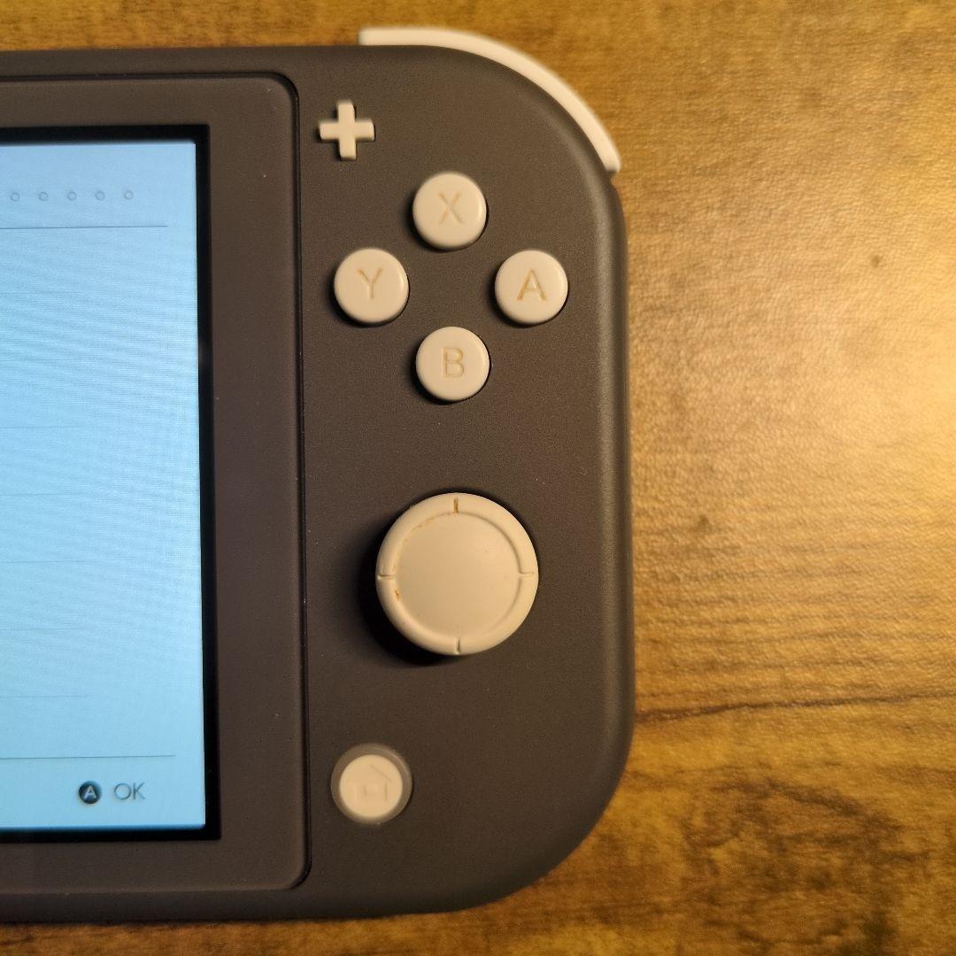 Nintendo Switch Lite グレー (箱　充電器　あり)