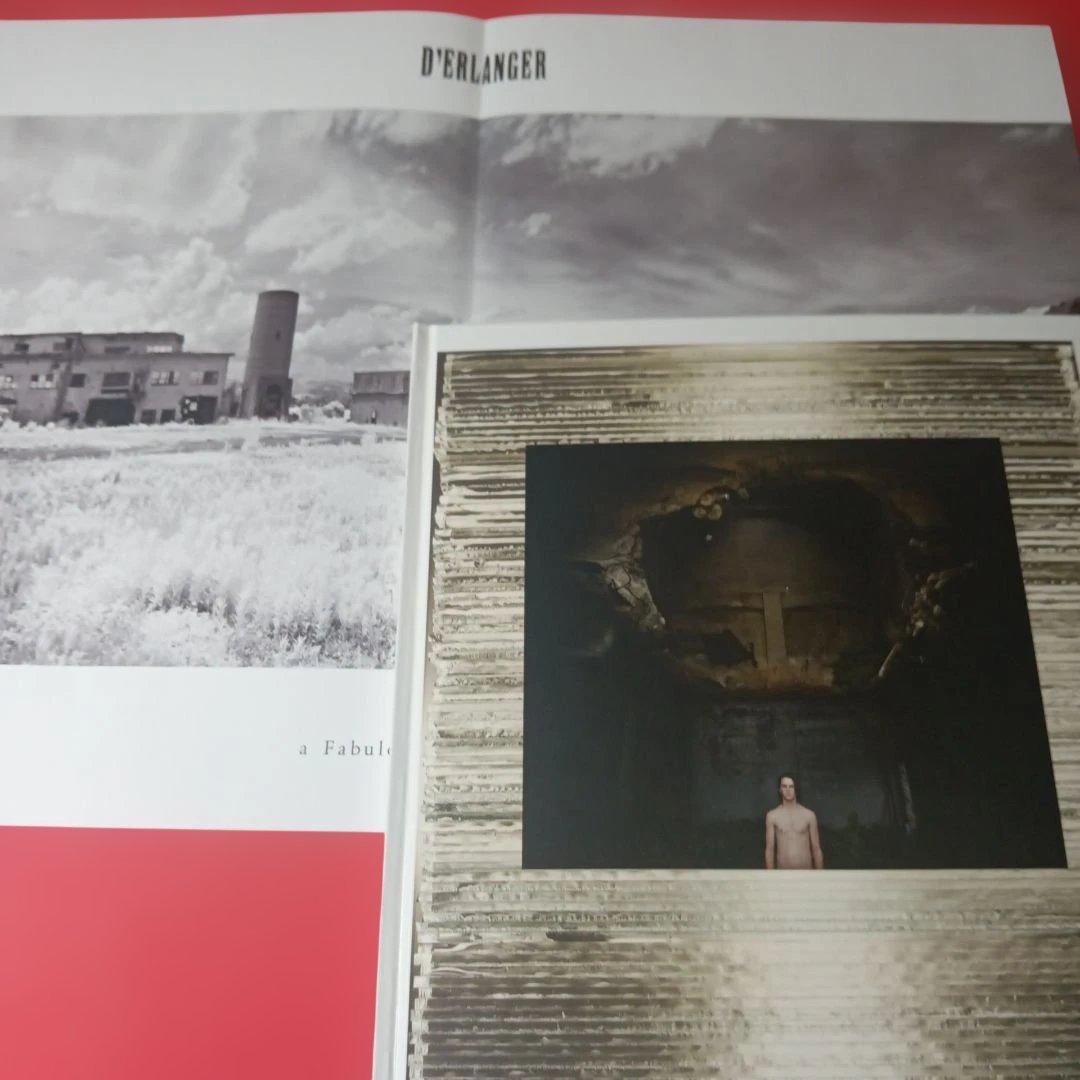 d'erlanger デランジェ CD 生産限定BOX CD v系