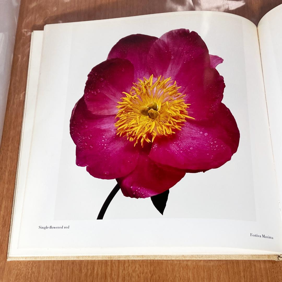 Flowers Irving Penn アーヴィングペン 写真集 1980年