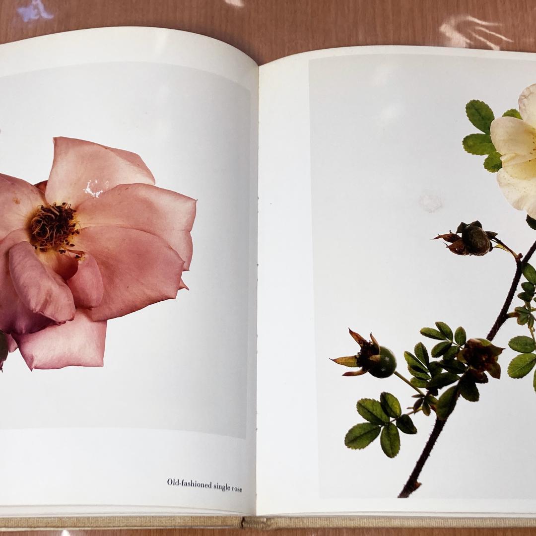 Flowers Irving Penn アーヴィングペン 写真集 1980年