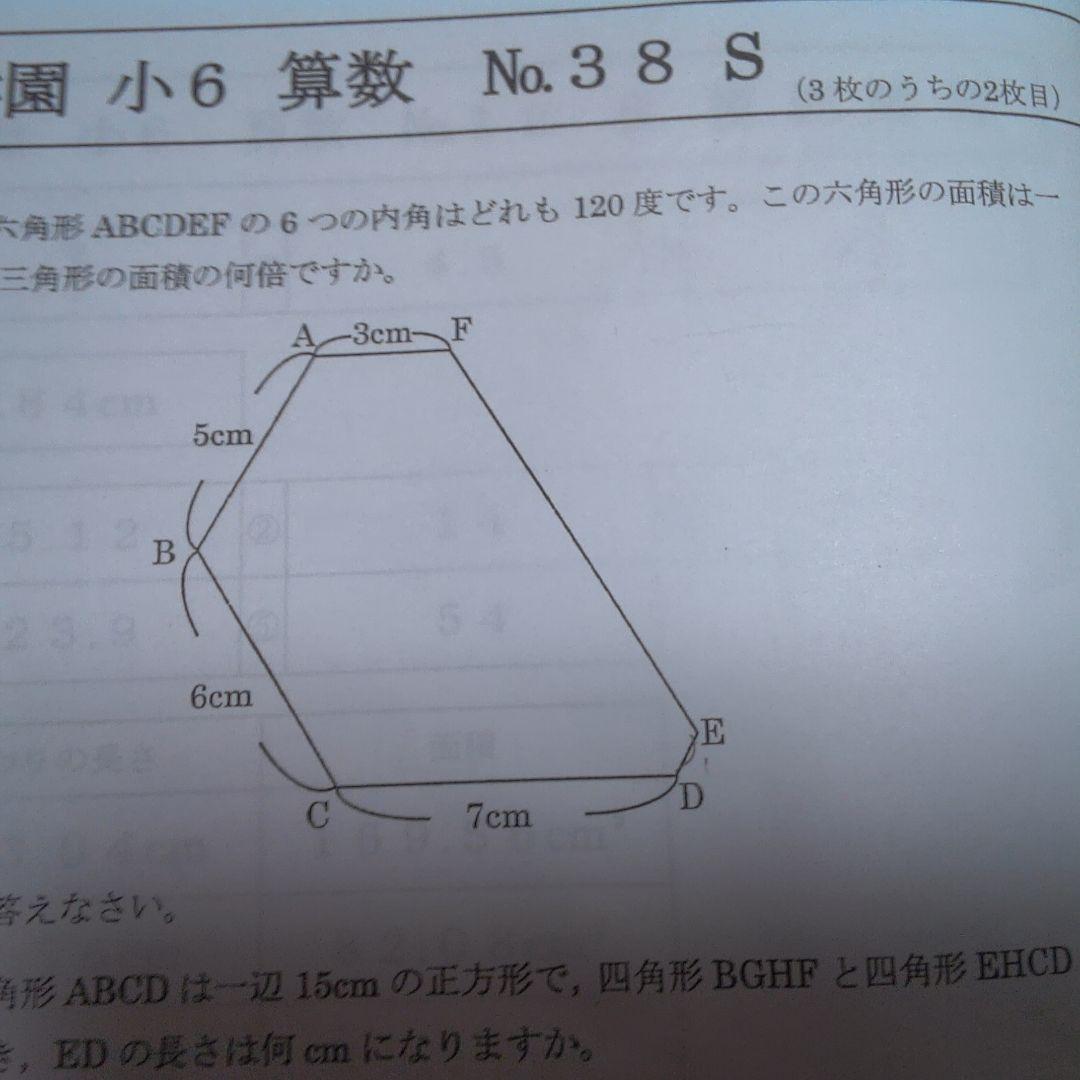 Y.ドラ