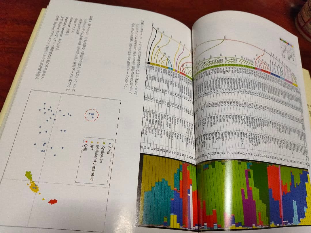 【希少品】人類の移動誌