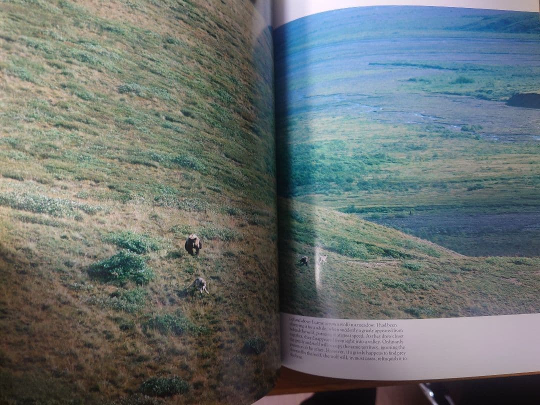 【美品】星野道夫　GRIZZLY & MOOSE 写真集2冊セット