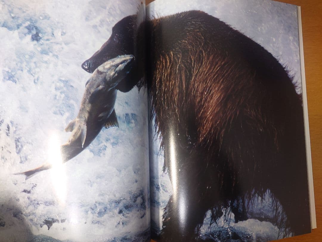 【美品】星野道夫　GRIZZLY & MOOSE 写真集2冊セット
