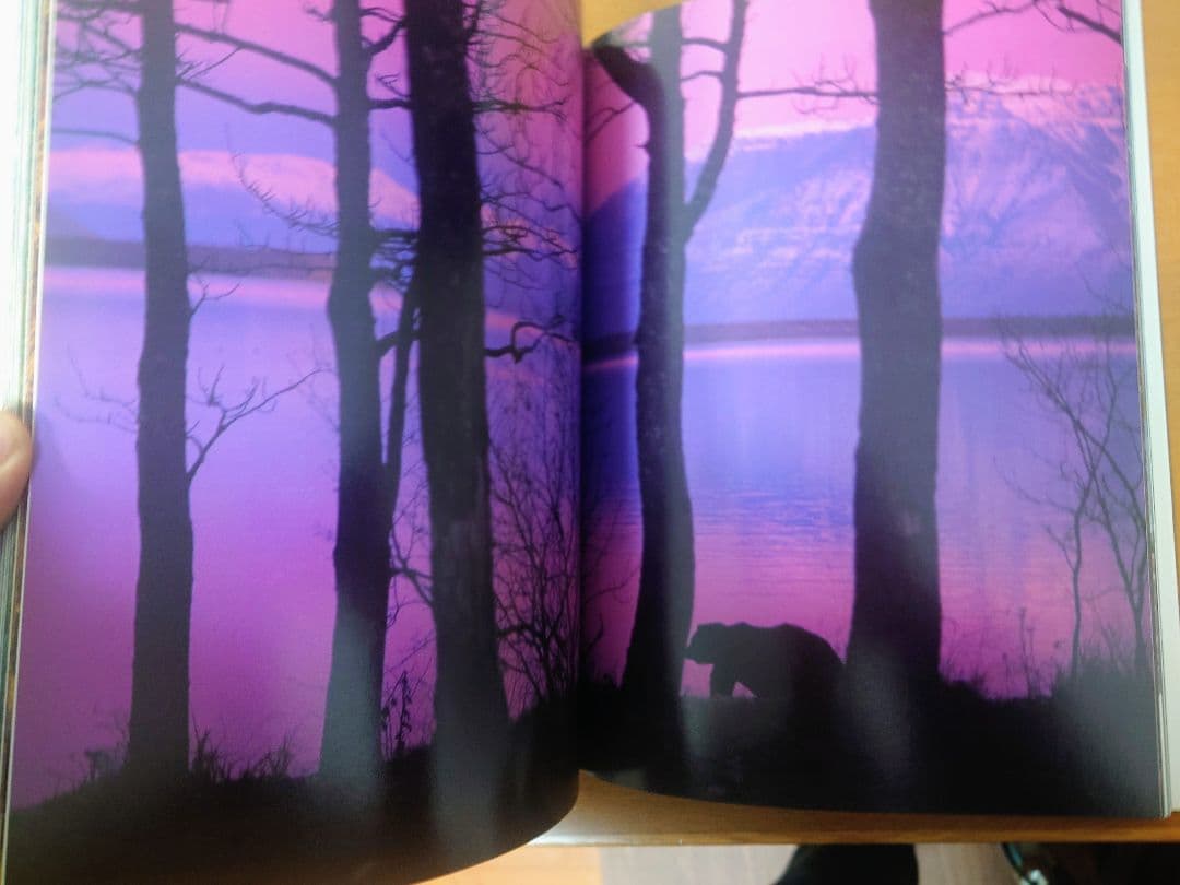 【美品】星野道夫　GRIZZLY & MOOSE 写真集2冊セット