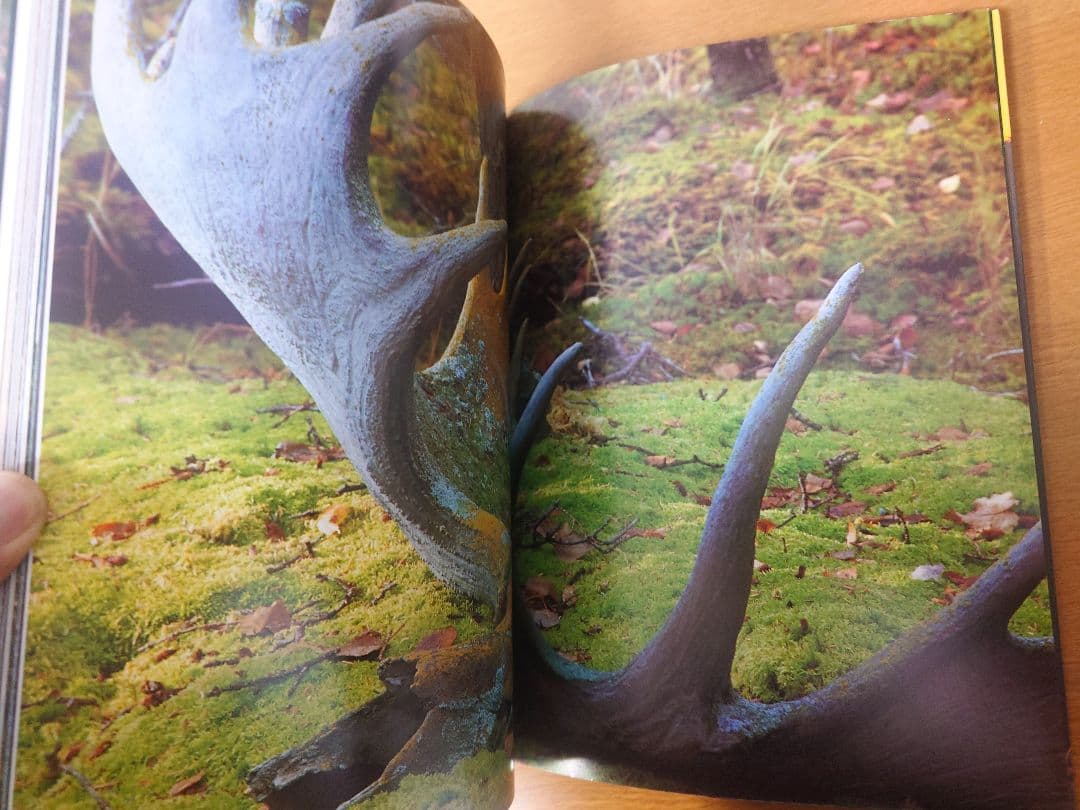 【美品】星野道夫　GRIZZLY & MOOSE 写真集2冊セット