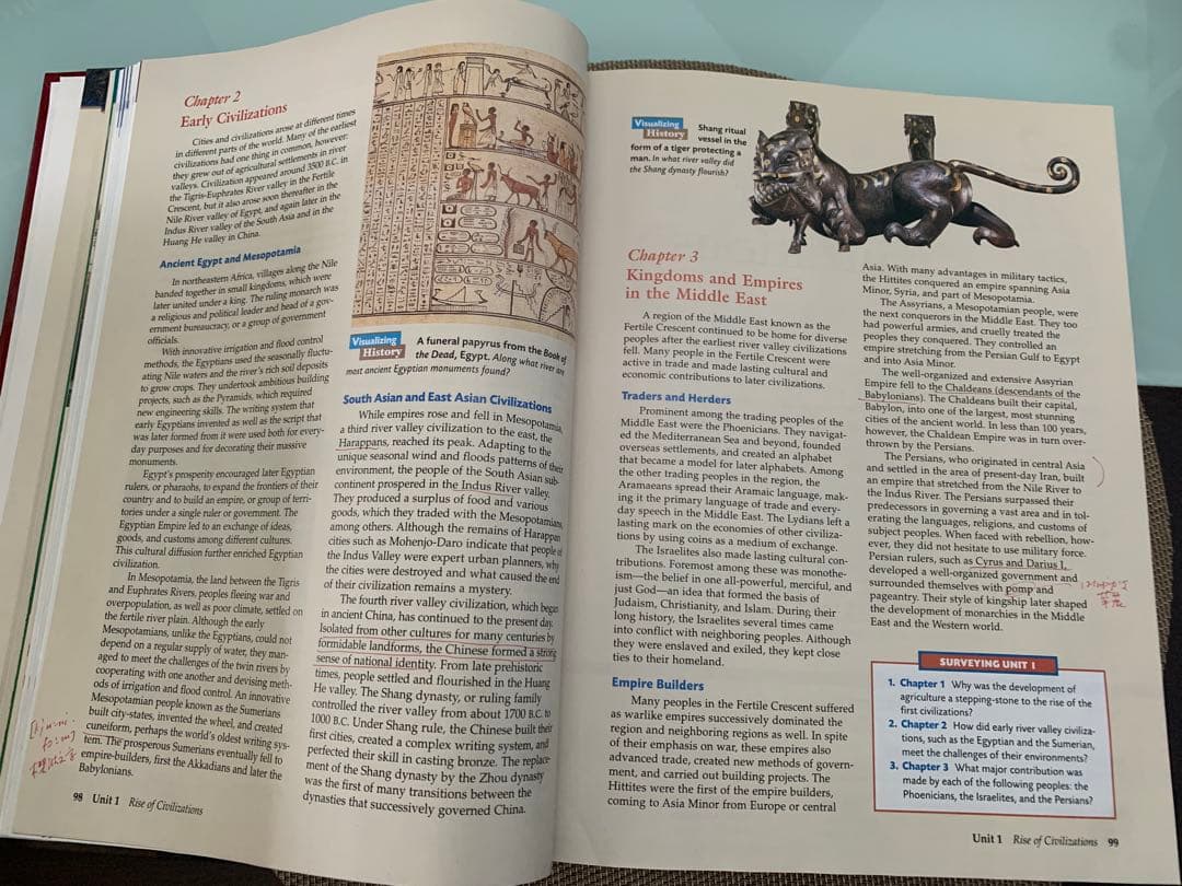 洋書 WORLD HISTORY: THE HUMAN EXPERIENCE
