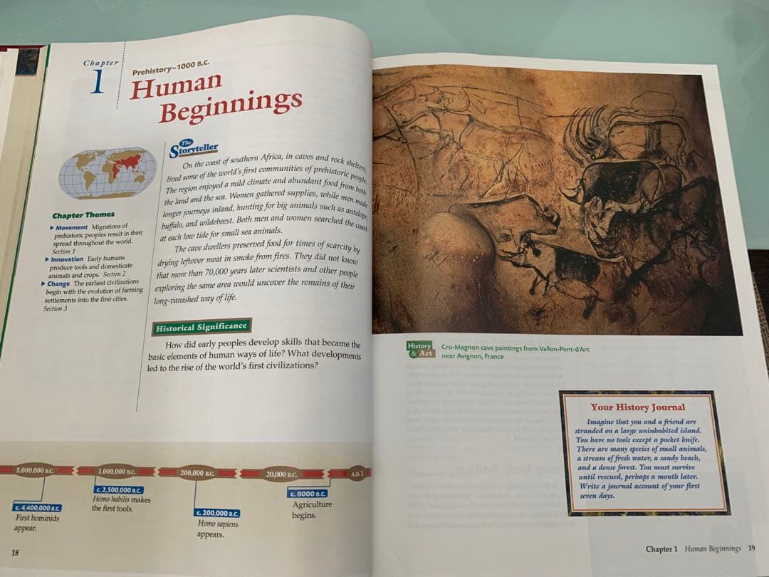 洋書 WORLD HISTORY: THE HUMAN EXPERIENCE