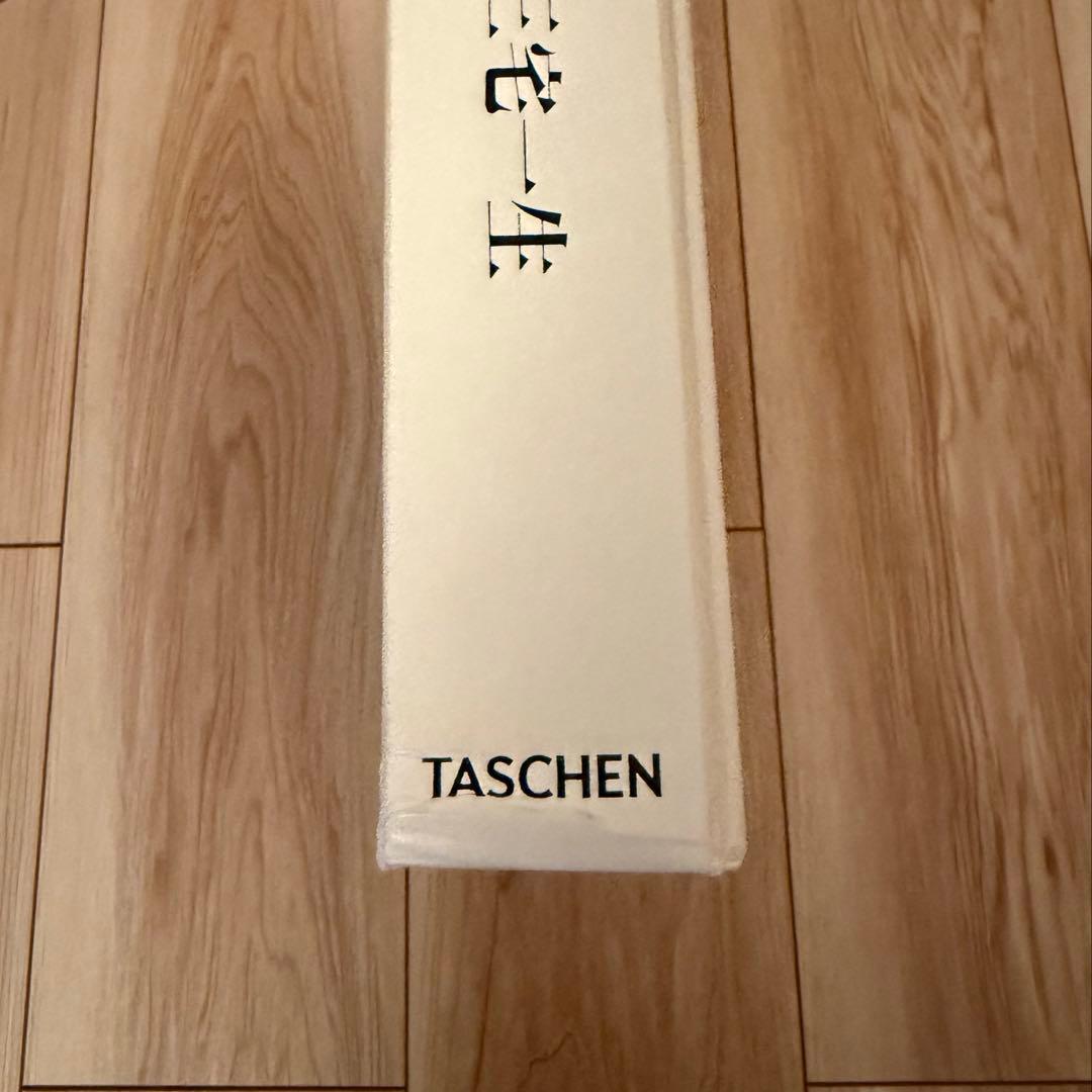 三宅一生 ISSEY MIYAKE TASCHEN
