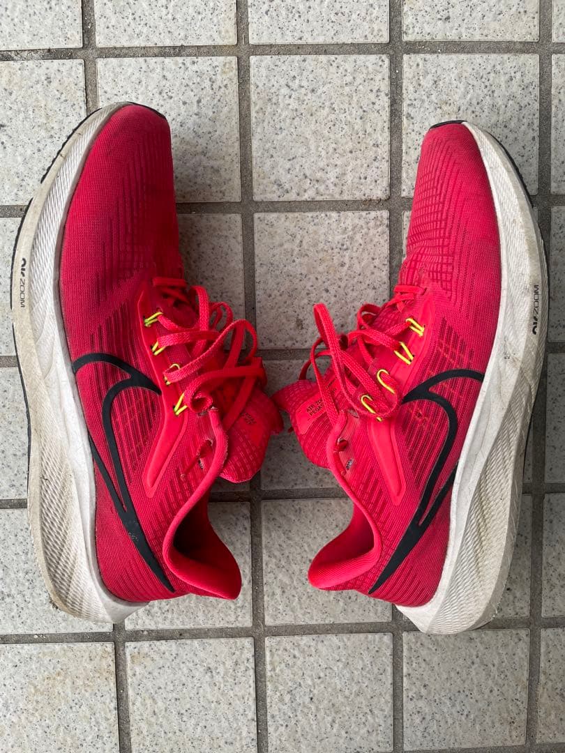Nike ペガサス40 28.5cm