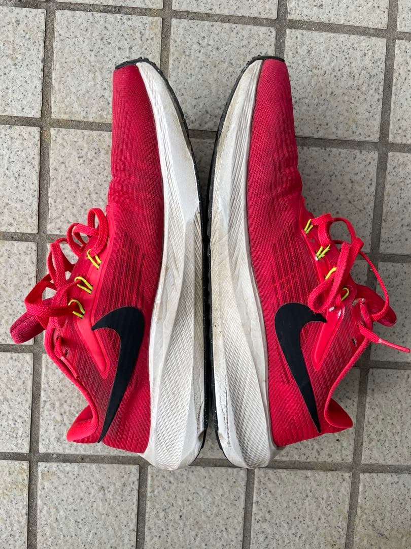 Nike ペガサス40 28.5cm