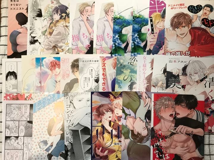 BL 特典　アニメイト他　リーフレット/小冊子