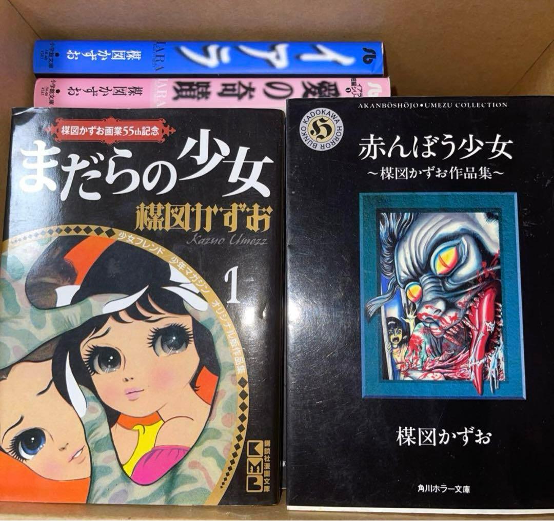 楳図かずおこわい本 漂流教室　洗礼　等　楳図かずお　文庫　34冊セット