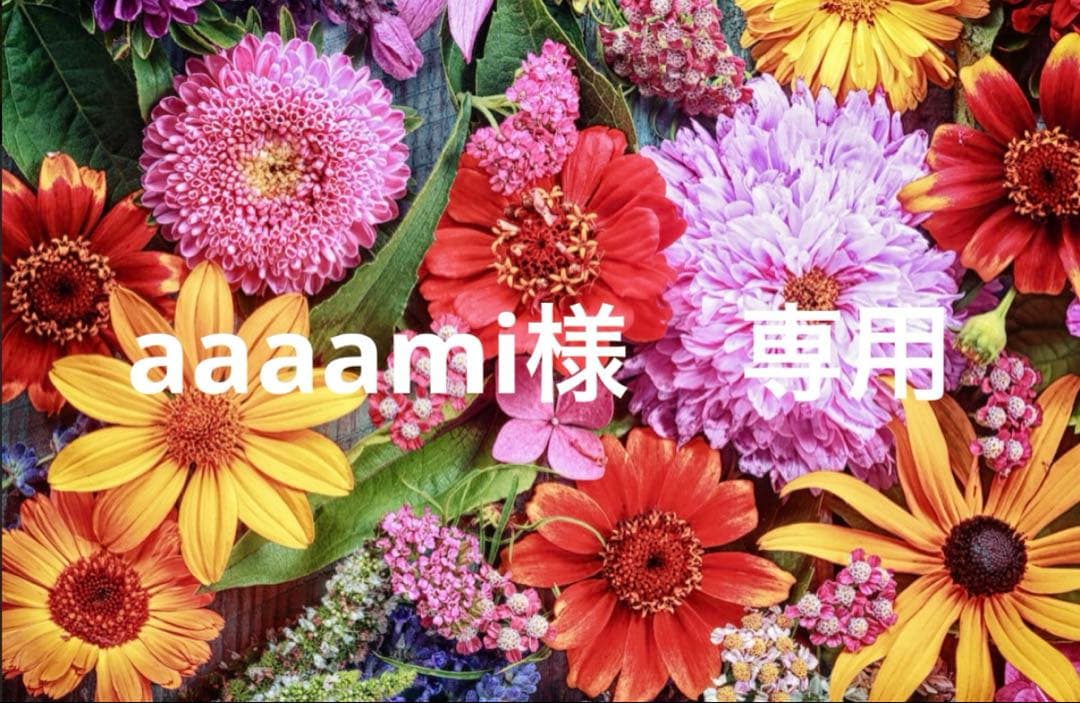 aaaami