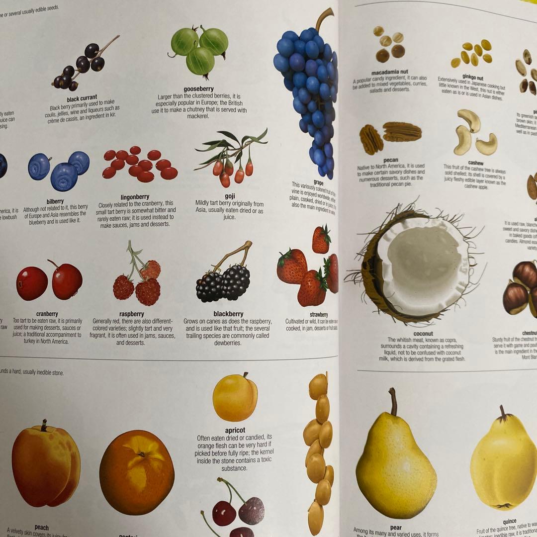 Merriam-Webster's Visual Dictionary 英語絵本