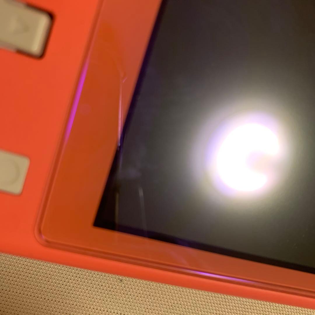 スイッチライト