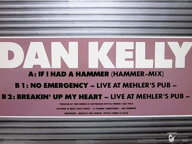 激レア盤 12インチ レコード ★ ポップ ネオロカビリー DAN KELLY