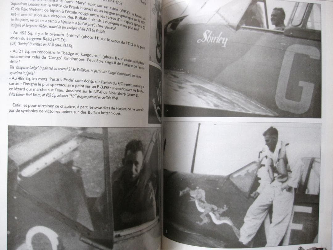 洋書 BREWSTER BUFFALO / Jean-Louis Couston