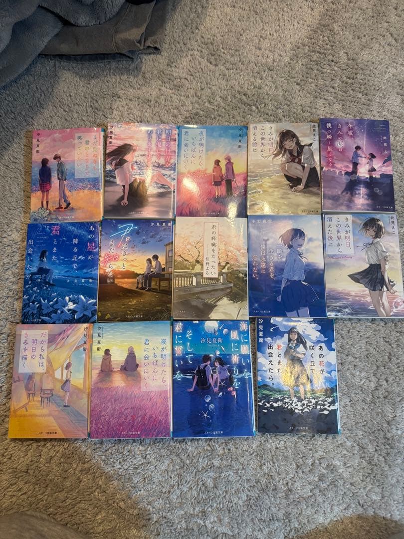 恋愛小説セット 14巻