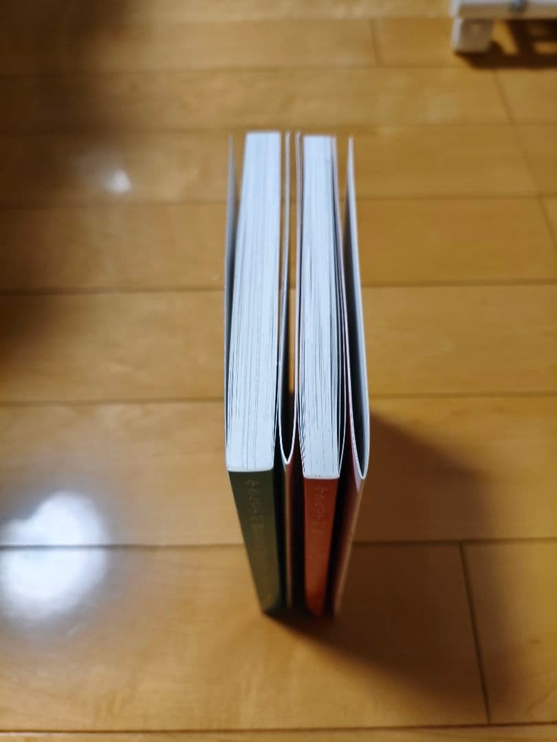 今さらですが、幼なじみを好きになってしまいました　コミケ会場限定本