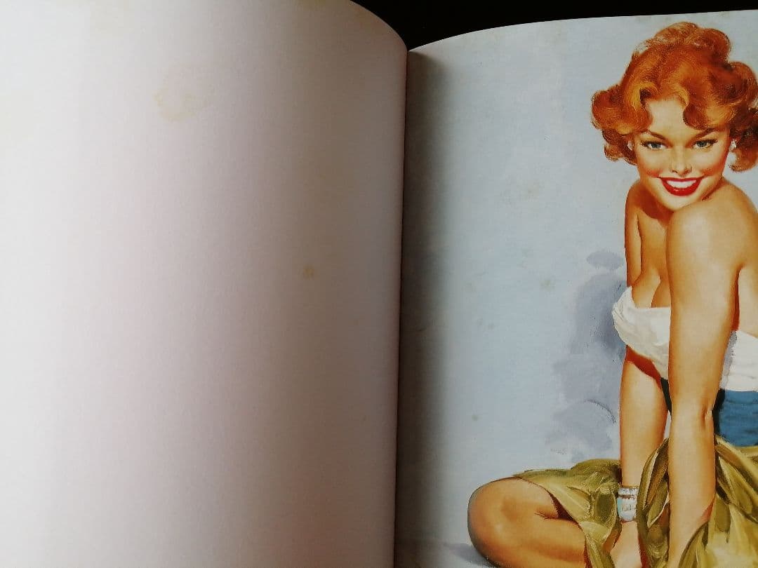 The Great American PinUp 画集