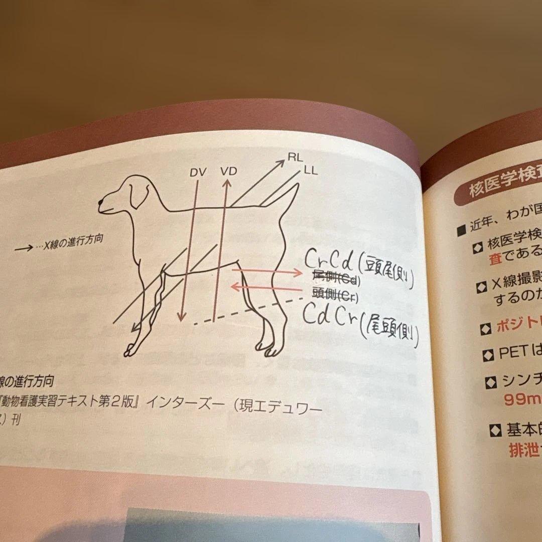 愛玩動物看護師 国家試験対策 参考書・問題集セット