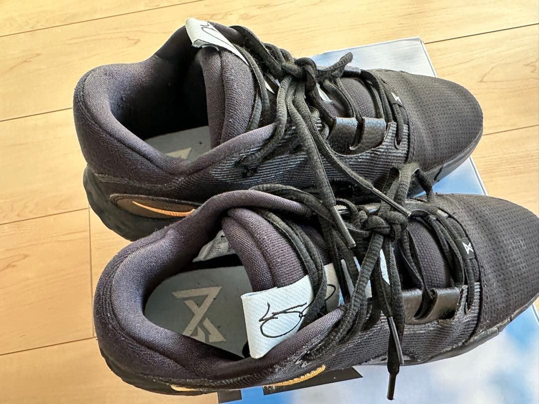 シューズ(男性用) Nike PG6 Black llic gold 27cm US 9