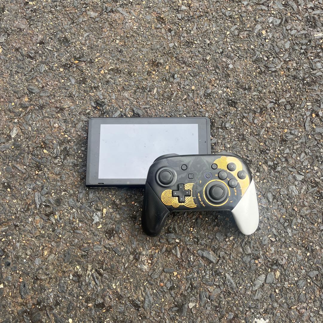 Switch プロコン付