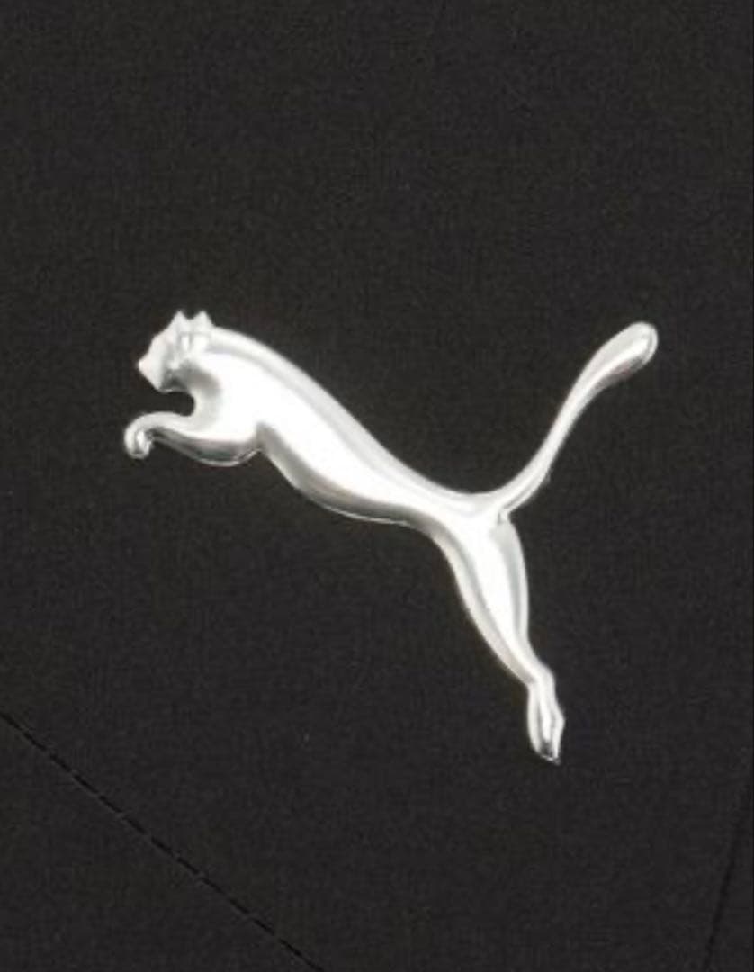 PUMA プーマ メンズ トレーニング プーマ フレックス ウーブンパンツ L