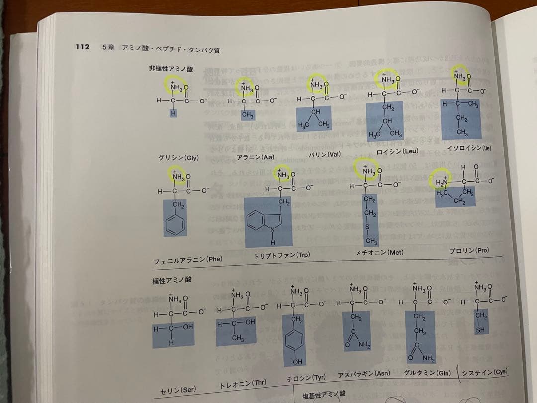 マッキー生化学（第6版）分子から解き明かす生命