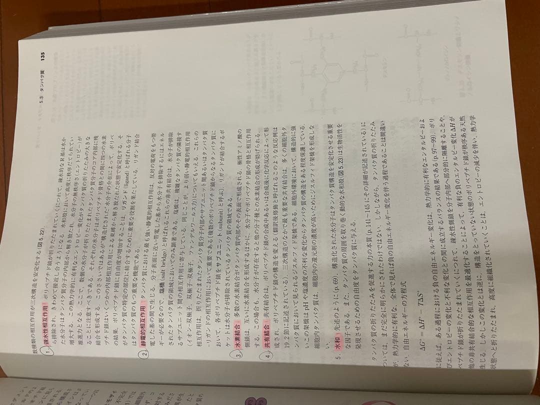 マッキー生化学（第6版）分子から解き明かす生命