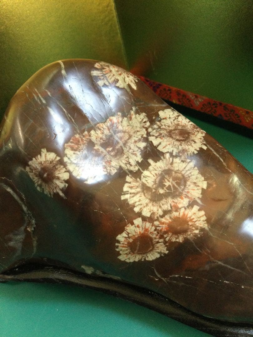 岐阜県根尾谷　菊花石台座付き　菊花石　観賞石