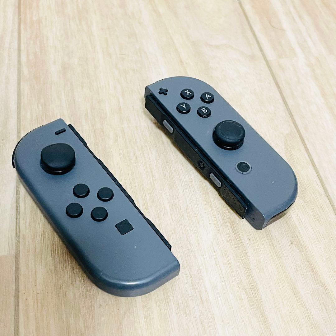 m*g様 Nintendo Switch ニンテンドースイッチ グレー 本体 +