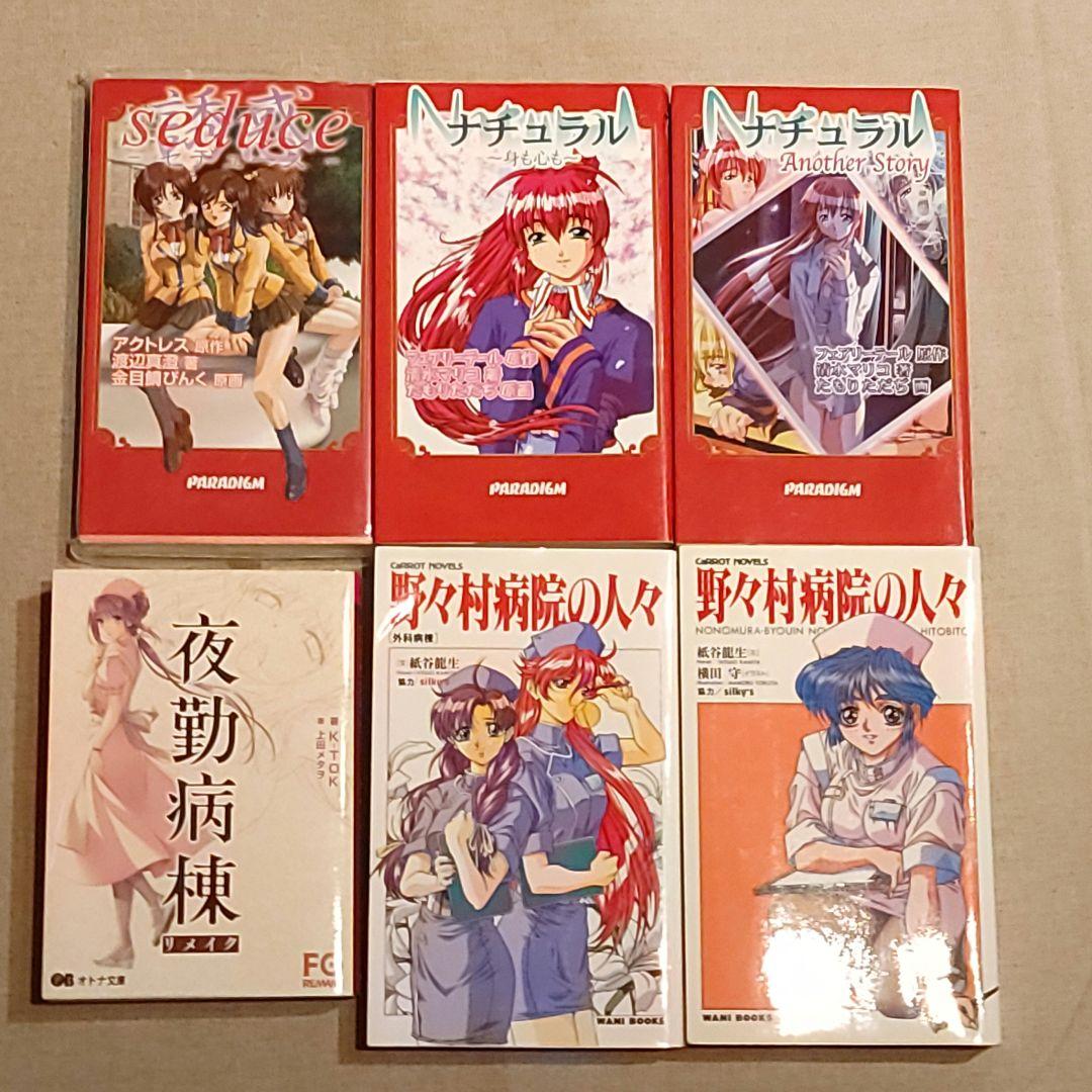 激レア☆90年〜2000年初頭のPCゲームノベライズ計10冊まとめ売り