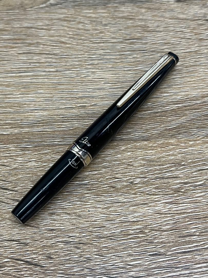リ*ン様 A4 万年筆　 PILOT Elite 18K 現状品動作未確認