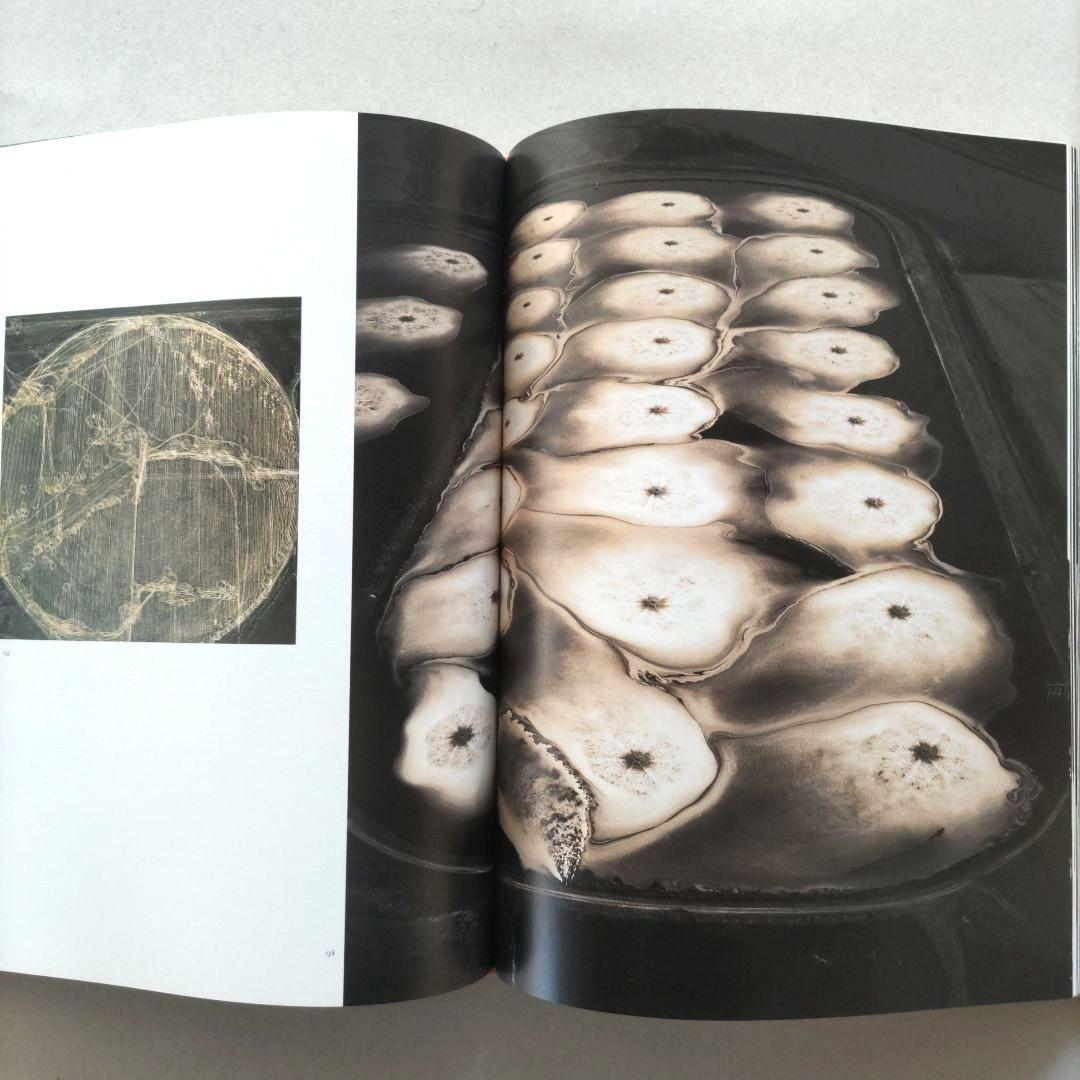 American Photographers 12/写真 作品集 洋書