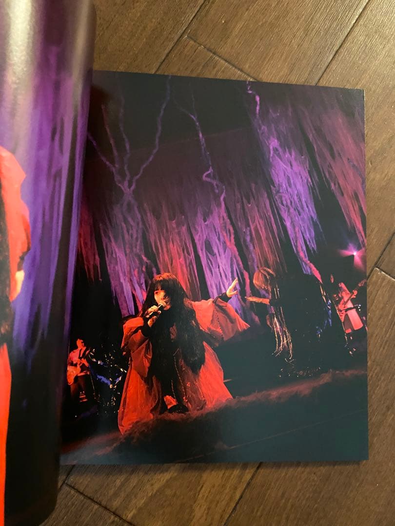 美品 AiNA THE END THE ZOMBIE 初回生産限定盤 BOX仕様
