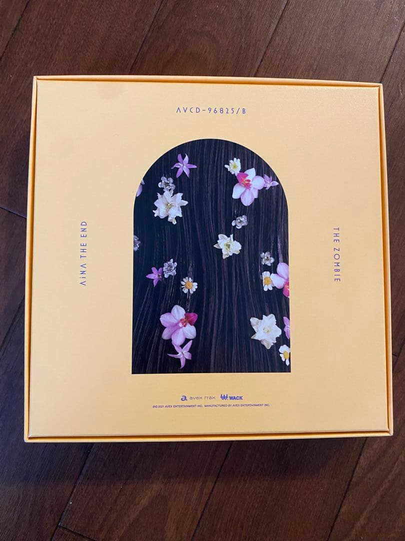 美品 AiNA THE END THE ZOMBIE 初回生産限定盤 BOX仕様