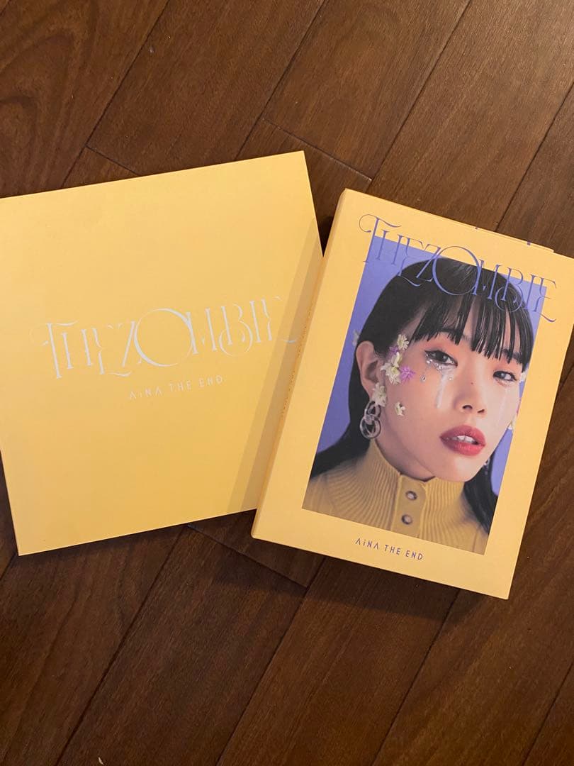 美品 AiNA THE END THE ZOMBIE 初回生産限定盤 BOX仕様