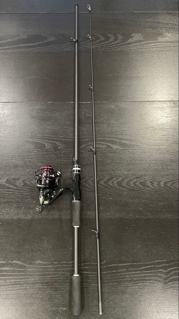 海釣りルアー釣りデビュー2ピーススピニングロッド&3000番リール&ルアー他付き