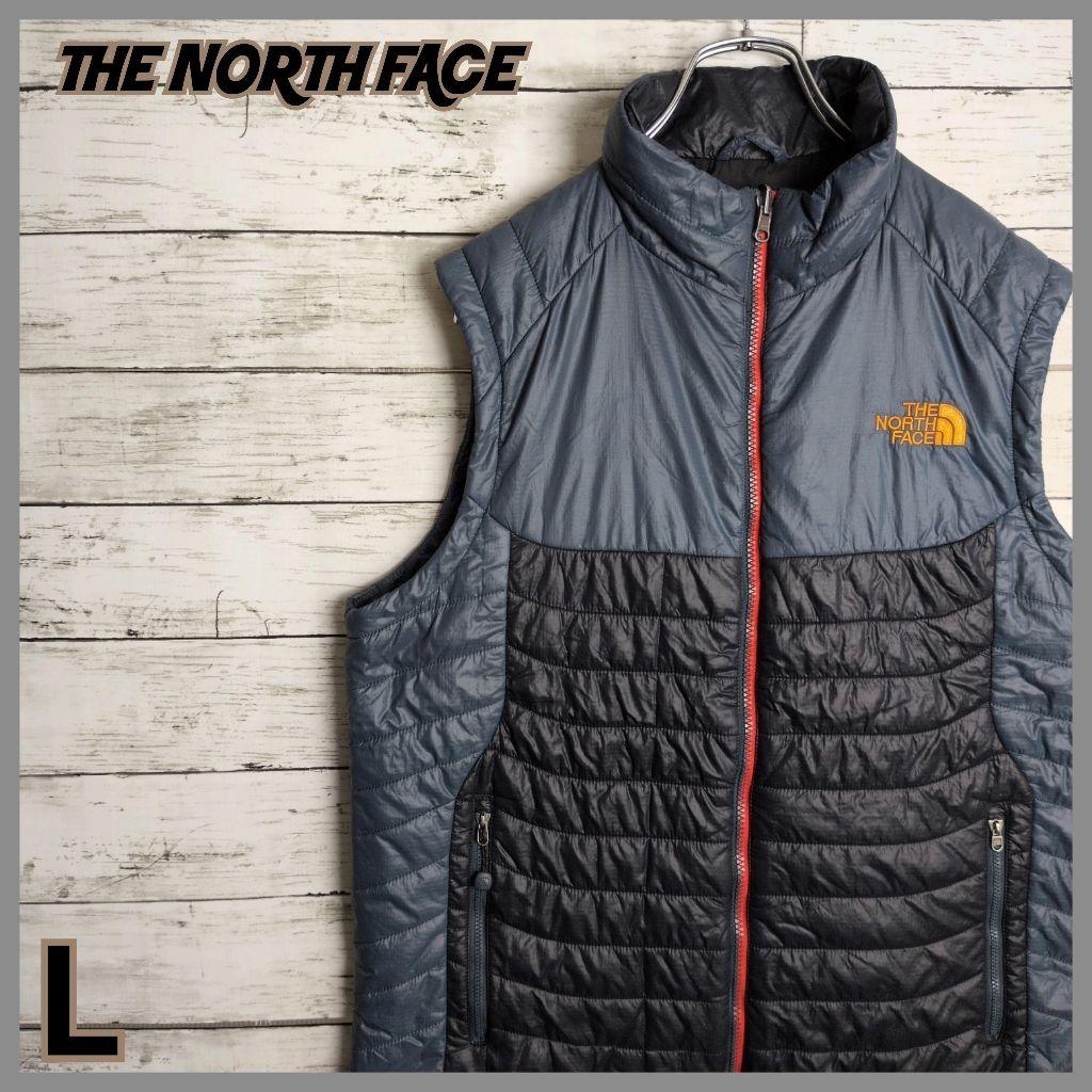 THE NORTH FACE ノースフェイス ダウンベスト 刺繍ロゴ メンズ古着