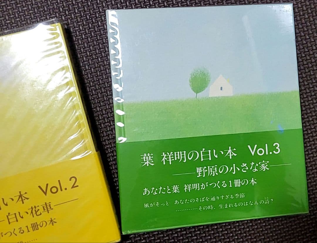 葉祥明の白い本　５冊セット　レア　希少　サンリオ　夜のメルヘン　白い花車