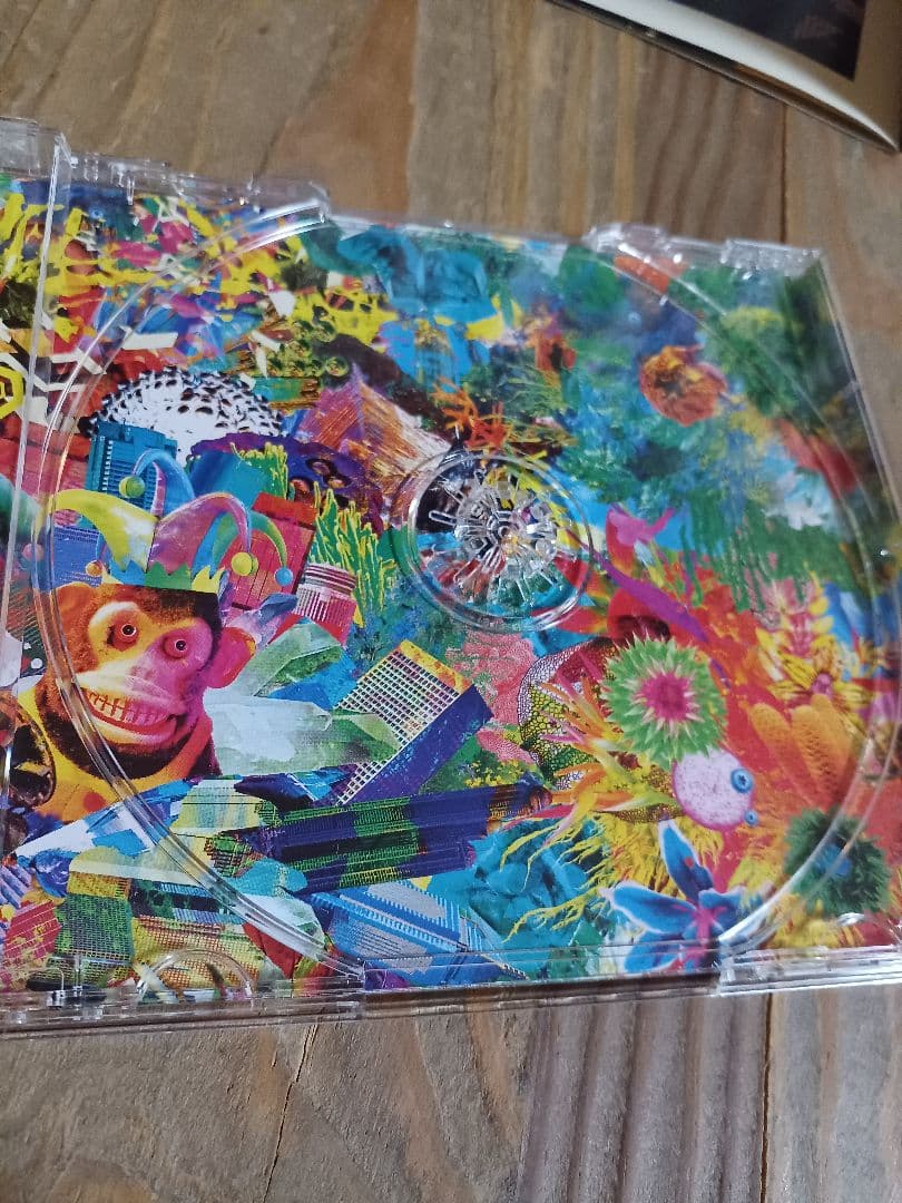 THE YELLOW MONKEY 　激レア会員限定購入特典DVD
