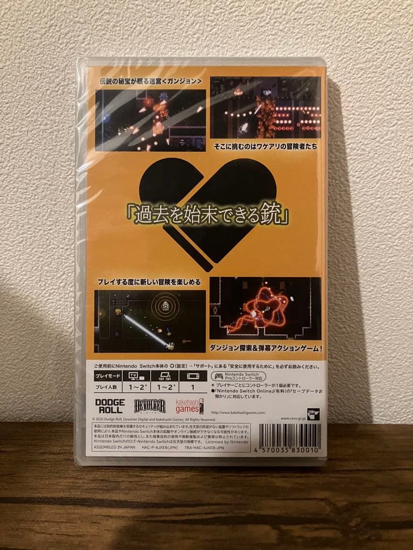 エンター・ザ・ガンジョン　enter the gungeon スイッチ　極美品